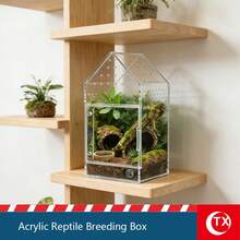 Acrylic Reptile Enclosure, Transparent Spider Breeding Box, Gothic-Style Tarantula Enclosure, Ventilated Reptile Tank, Suitable For Jumping Spiders, Lizards, And Insects. - Multicolor - View 3