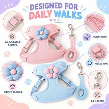 1 Set Harness dan Tali Anjing, Harness Hewan Peliharaan yang Dapat Diatur, Perlindungan Leher yang Nyaman, Panjang Tali 120cm, Cocok untuk Anjing Kecil untuk Jalan-jalan dan Acara Sehari-hari, Mencegah Hewan Peliharaan Kabur, Harness Dada Anjing Kecil, Harness Dada Anjing Sedang, Harness Dada + Tali - MultiWarna - View 5
