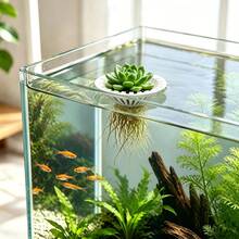 Aquarium Hydroponic Floating Colonization Basket, Soilless Cultivation Pothos And Succulent Holder, Aquascaping Plant Floating Rack, 3D Printed PLA Material, White Stand, Universal Model For Water Purification And Root Rot Prevention - A - View 8