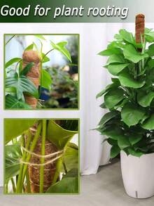 Moss Support Pole Monstera Plant Support - Stackable Up To 48 Inches | Indoor Climbing Potted Plant Support Pole - Tall Coconut Fiber Support Pole And Accessories, Suitable For Monstera, Pothos And Philodendron - Multicolor - View 6