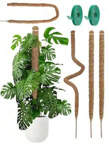 Moss Support Pole Plant Support | Indoor Climbing Plant Pot Support Stake - Tall Coconut Fiber Support Pole And Accessories, Suitable For Monstera, Pothos And Philodendron - Multicolor - View 1
