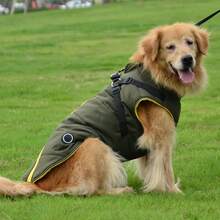 Dog Winter Clothes Small Dog Pet Clothes With Built-In Harness Vest Warm Cotton Coat - Green - Army Green - View 7