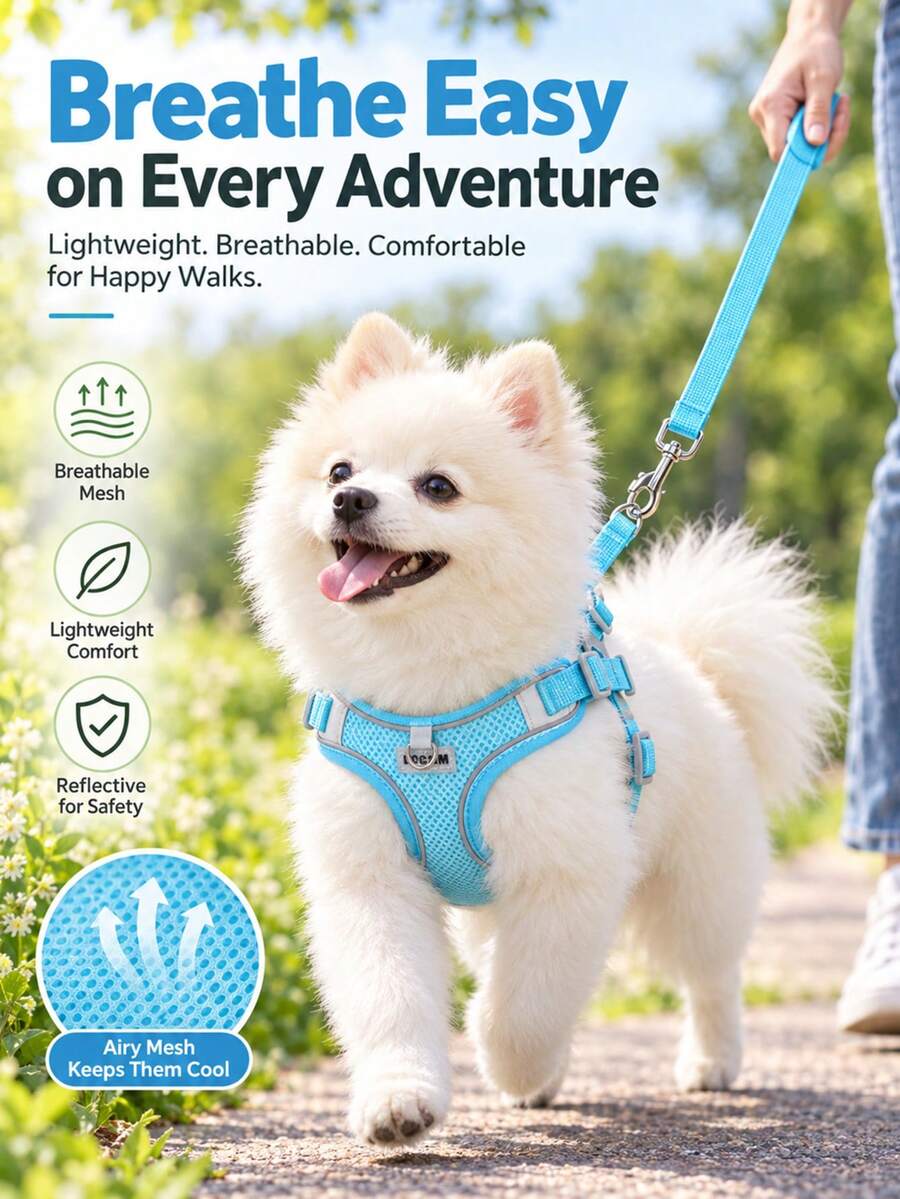 1 Set Breathable Mesh Dog Harness & Leash Set, Reflective Strip Adjustable Soft Pet Vest Harness, Anti-Escape Lightweight Walking Harness, Suitable For Medium & Small Dogs Outdoor Daily Travel Pet Supplies - Blue - View 1