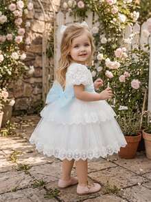 Baby Girls Square Neck Lace Embroidered Tulle Cute 1st Birthday Dress Suitable For Wedding Party, Fabric Pattern Randomly Cut, Headband Not Included - White - View 1