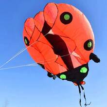 Cartoon Soft Ladybug Kite, Tool‑Free Inflatable Beetle‑Shaped Kite, Tear‑Resistant Fabric For Family Outdoor Recreation - Red 2-inch Ladybug - View 6