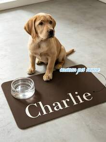 1pc Customized Pet Feeding Mat, Personalized Dog & Cat Name Feeding Station, Pet Bowl Mat, Easy To Clean Dog & Cat Feeding Mat, Birthday Gift, Pet Lover Gift, Home Floor Decor - Multicolor 1 - View 3