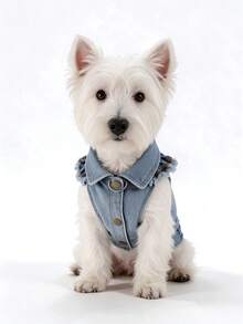 1pc M Size Dog Cat Denim Harness Light Blue Princess Crown Embroidery, Ruffle Frayed Edge D Ring Leash Bronze Button, Cute Fashion For Spring Summer Party Daily Photo Shoot, Suitable For 3-4kg - Multicolor - View 9
