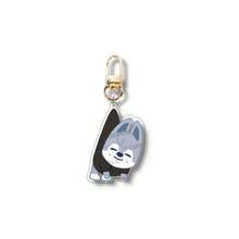1 Set 8pcs SKZOO DominATE SEOUL Acrylic Keychain, Cartoon Keychain Accessories For Carrying Small Animal Clothes, Suitable For Fans To Use And Collect - Multicolor - View 13