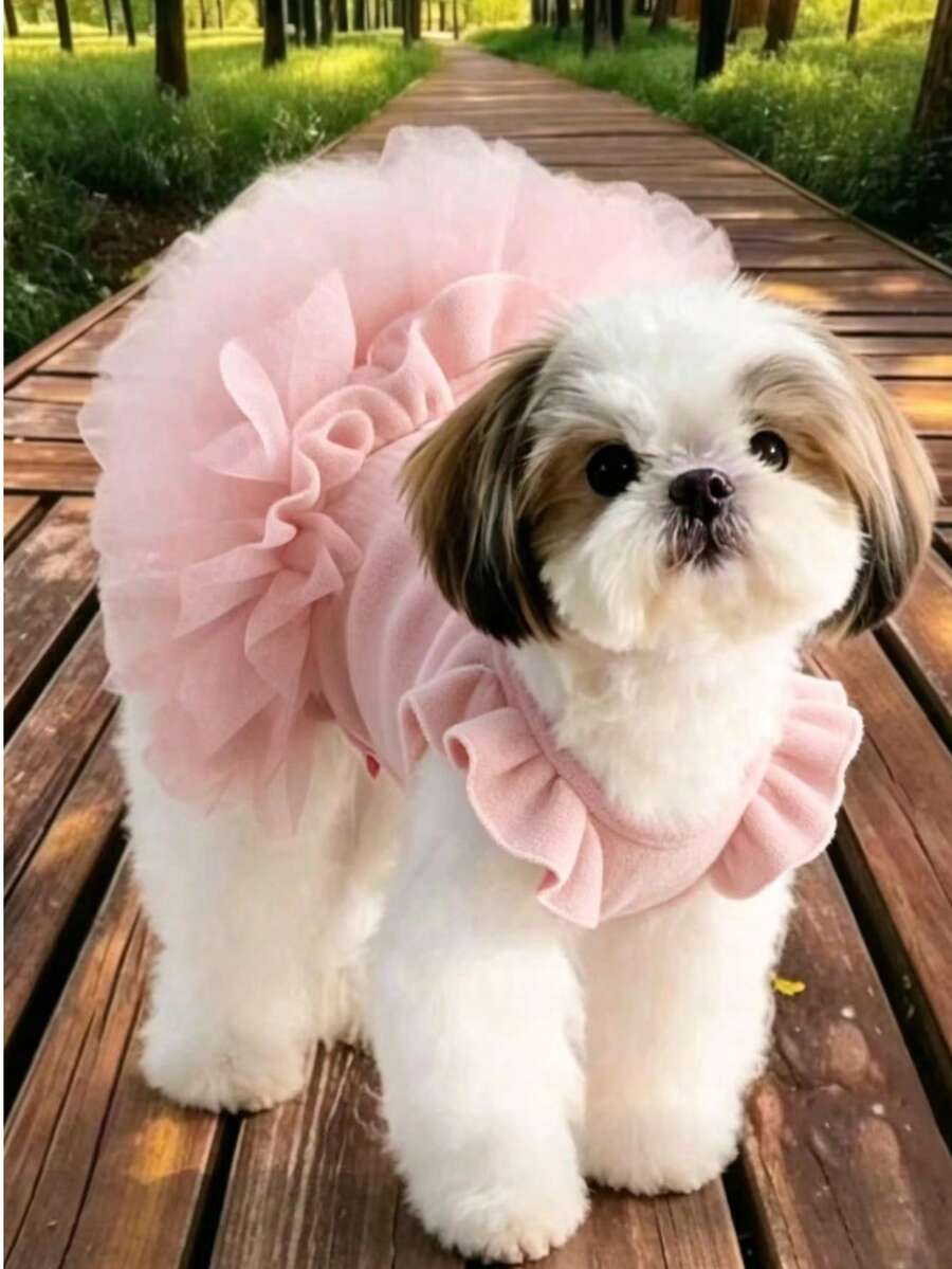 1pc Thickened Fleece Glitter Ballet Sister Dress Dog & Cat Pet Clothing - Pink - View 1
