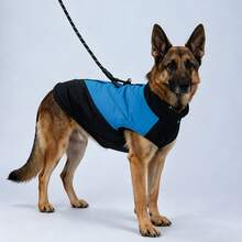 Medium Dog Warm Jacket Coat, Dog Clothing Vest, Dog High Collar Vest - Multicolor - View 20