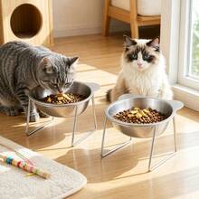 Cat 304 Stainless Steel Elevated Bowl, 15° Tilted Design Neck-Protecting Healthy Feeding Bowl, Shatter-Proof And Anti-Drop Pet Bowl - 600ml - View 8