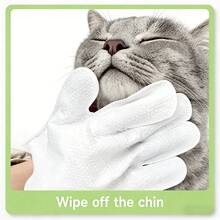 Portable Pet Grooming Gloves Wet Wipes, Disposable No-Rinse Dry Wash Bathing Gloves, Unscented Double-Sided Design, Outdoor Cleaning Accessory, Suitable For Dogs And Cats - Uscented - View 5