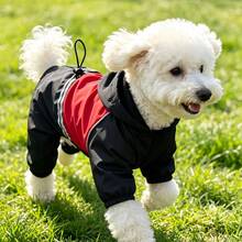 Dog Clothing, Cat Clothing, Animal Dresses, Pet Spring/Summer New Collection, Puppy Dresses, Princess Style Versatile Skirts, Printed Striped Designs, Small Animal Apparel, Fashionable Sun Protection Clothing - Black - View 3