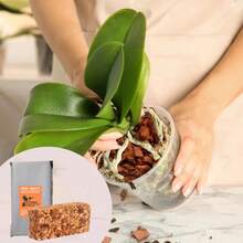 Coconut Shell, Coconut Shell Fragments And Coconut Fiber Are The Best Materials For Various Plant Cultivation And Amphibian Pet Bedding (7-9L/Pc After Expansion) - 1PCS - View 2