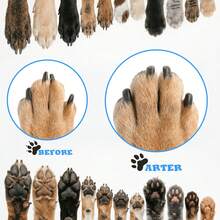 4pcs Large Dog Nail Grinder + 3 Sandpaper Sheets, Quiet Upgraded Polishing Tool, Pet Nail Care Essential, Comfortable & Home Must-Have, Suitable For Professional Pet Grooming Use - View 7