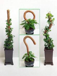 Moss Support Pole Plant Support | Indoor Climbing Plant Pot Support Stake - Tall Coconut Fiber Support Pole And Accessories, Suitable For Monstera, Pothos And Philodendron - Multicolor - View 2
