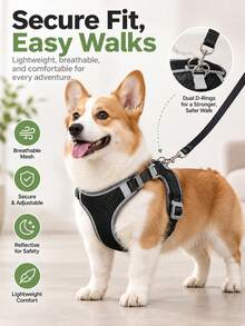 1 Set Harness & Tali Anjing Mesh Bernapas, Rompi Harness Hewan Peliharaan Lembut dengan Strip Reflektif yang Dapat Disesuaikan, Harness Jalan Ringan Anti-Lepas, Cocok untuk Anjing Sedang & Kecil untuk Perjalanan Harian Luar Ruangan Perlengkapan Hewan Peliharaan - Biru - View 1