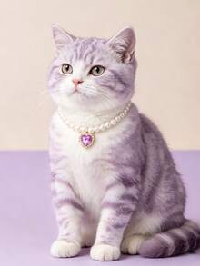 1pc Heart Rhinestone Pendant Faux Pearl Pet Necklace, Elegant Beaded Collar For Small Cat Kitten Puppy Dog Pet Photo Dress‑Up Accessory - Multicolor - View 1