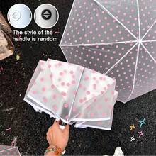 Korean Style Fresh Polka Dot Transparent Automatic Umbrella, One-Click Open & Close, Lightweight Without Burden, Multiple Colors Available, Perfect For Rainy Day Photoshoots, Portable Waterproof, Gentle Color Palette, Ritualistic Rainy Season Gift - Automatic Umbrella - View 15