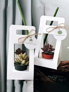 10PCS Succulent Plant Packaging Bags With Thank You Cards, Mini White Kraft Paper Gift Boxes, Wedding, Baby Shower, Succulent Party Favors Plant Holders, Suitable For 2.17 Inch Flower Pots - View 8