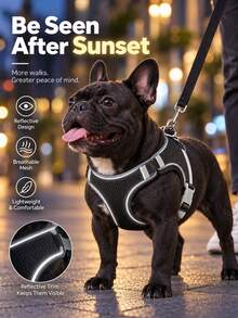 1 Set Harness & Tali Anjing Mesh Bernapas, Rompi Harness Hewan Peliharaan Lembut dengan Strip Reflektif yang Dapat Disesuaikan, Harness Jalan Ringan Anti-Lepas, Cocok untuk Anjing Sedang & Kecil untuk Perjalanan Harian Luar Ruangan Perlengkapan Hewan Peliharaan - Biru - View 8