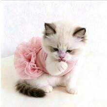 1pc Thickened Fluffy Tulle Pet Dress, Autumn/Winter Sleeveless Jumper Dress For Dogs And Cats, Suitable For Teddy, Pomeranian, Princess Style - Pink - View 4