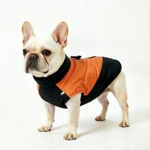Medium Dog Warm Jacket Coat, Dog Clothing Vest, Dog High Collar Vest - Multicolor - View 32