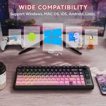 ATTACK SHARK X Freewolf M75 Wireless Gaming Keyboard, Dual-Mode Bluetooth 2.4G, Gradient PBT Keycaps, OLED Display & Knob Control, Rainbow Backlight, 82-Key Compact Anti-Ghosting Keyboard, Compatible With PC Mac Laptop - View 8