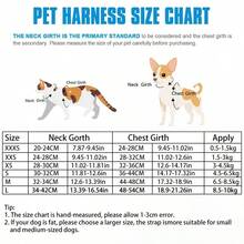 Puppy Leash And Harness Set, Breathable Mesh Puppy Vest Harness, Adjustable Anti-Pull Walking Harness, Suitable For Chihuahua, Yorkshire Terrier, Pomeranian And Other Small Dogs - Pink - View 3