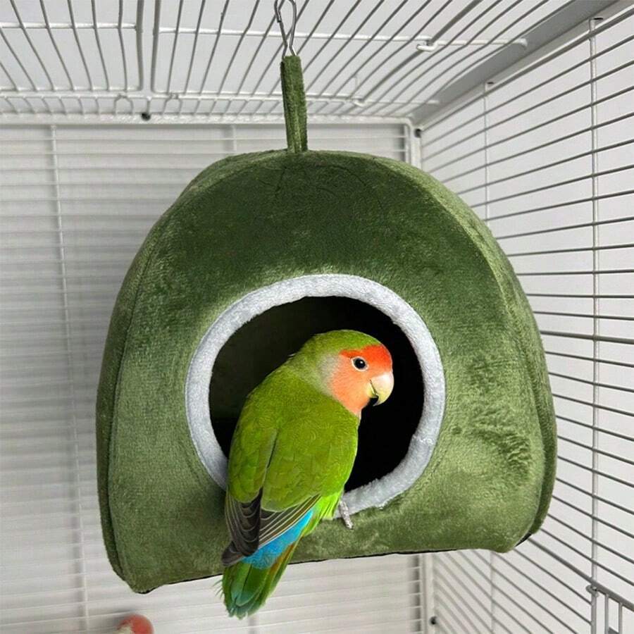 Bird Swings - Green - View 1