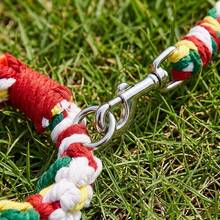 1 Set Spring Floral Dog Collar And Leash Set With Quick-Release Buckle-Available In Black/Pink And Pastel Colors Comfortable And Breathable, Suitable For All-Day Wear And All Seasons The Rotating Metal Buckle Is Suitable For Daily Walks Of Large Dogs - Red - View 9