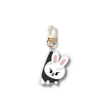 1 Set 8pcs SKZOO DominATE SEOUL Acrylic Keychain, Cartoon Keychain Accessories For Carrying Small Animal Clothes, Suitable For Fans To Use And Collect - Multicolor - View 19