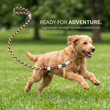 1 Set Spring Floral Dog Collar And Leash Set With Quick-Release Buckle-Available In Black/Pink And Pastel Colors Comfortable And Breathable, Suitable For All-Day Wear And All Seasons The Rotating Metal Buckle Is Suitable For Daily Walks Of Large Dogs - Red - View 1
