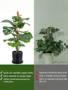 Moss Support Pole Plant Support | Indoor Climbing Plant Pot Support Stake - Tall Coconut Fiber Support Pole And Accessories, Suitable For Monstera, Pothos And Philodendron - Multicolor - View 5