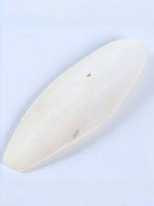 1pc Desalinated Cuttlebone Chew Toy And Beak Grinding Snack, Natural Calcium Supplement For Birds, Parrots, Reptiles And Turtles, Durable Hanging Cage Accessory, Daily Treat For Small Pets - 8-10 - View 9