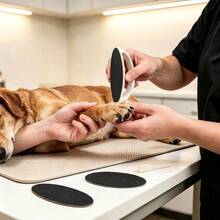 4pcs Large Dog Nail Grinder + 3 Sandpaper Sheets, Quiet Upgraded Polishing Tool, Pet Nail Care Essential, Comfortable & Home Must-Have, Suitable For Professional Pet Grooming Use - View 6