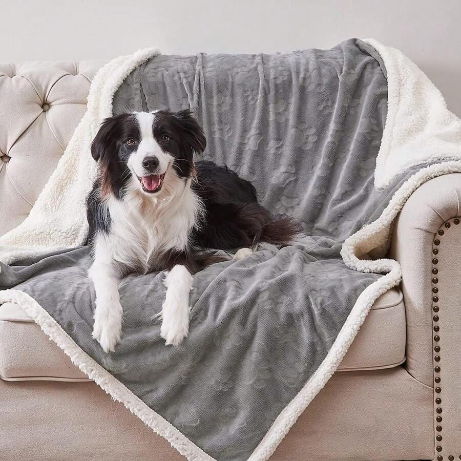 Pet Blanket, Waterproof Washable Chenille Lamb Fleece Blanket For Cats, Soft Plush Double-Sided Reversible Protective Pad, Suitable For Bed/Sofa/Car/Couch