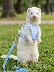 1pc Small Animal Harness & Leash Set, Escape-Proof Adjustable Plaid Vest-Style Cute Clothing, Outdoor Pet Walking Leash, Suitable For Squirrel, Guinea Pig, Ferret, Rat, Hamster, Prairie Dog Pet Accessories - Multicolor - View 8