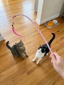 3pcs Random Color Bug-Shaped Cat Teaser Toys With Bells, Indoor Cat Interactive Teaser Wand, Fun Kitten Exercise And Play Toy, Lightweight Fishing Rod Style Pet Toy To Relieve Boredom, Cute Replacement Bug Refill Pack, Pet Entertainment Supplies - View 4