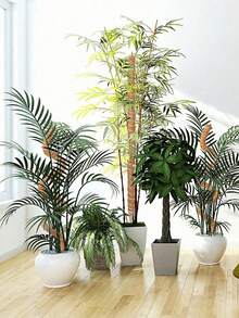 Moss Support Pole Monstera Plant Support - Stackable Up To 48 Inches | Indoor Climbing Potted Plant Support Pole - Tall Coconut Fiber Support Pole And Accessories, Suitable For Monstera, Pothos And Philodendron - Multicolor - View 3