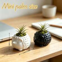1pc Mini Hedgehog Planter Pot, 3D Embossed Spiky Texture, Suitable For Small Succulents & Air Plants, Delicate & Easy To Care For, Textured Gift Souvenir, Recommended For Gifting - Hedgehog - View 1