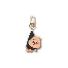 1 Set 8pcs SKZOO DominATE SEOUL Acrylic Keychain, Cartoon Keychain Accessories For Carrying Small Animal Clothes, Suitable For Fans To Use And Collect - Multicolor - View 16