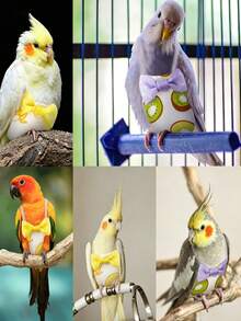 2 buah Popok Burung Beo yang Dapat Dicuci dan Digunakan Kembali, Lapisan Dalam yang Lembut, Pakaian Terbang Burung Peliharaan Kecil, Macan, Peony, Beo Pasifik, Sun Conure, Parkit Monk Biru/Hijau, Caique, Pipit, Ringneck, Parkit Rose-Ringed, Finch Kuning, Jay Abu-abu - 2pcs - View 7