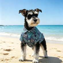 1pc Blue Plaid Shirt, Plaid Design Showcases Personalized, Lightweight Fabric Suitable For All Seasons. Snap Button Design For Easy Wear, Non-Stretch Slim Fit Suitable For Small To Medium Dogs And Large Dog Puppies. Great For Outings, Travel, Parties And Photo Shoots - Mint Blue - View 1