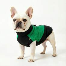 Medium Dog Warm Jacket Coat, Dog Clothing Vest, Dog High Collar Vest - Multicolor - View 36