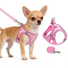 Puppy Leash And Harness Set, Breathable Mesh Puppy Vest Harness, Adjustable Anti-Pull Walking Harness, Suitable For Chihuahua, Yorkshire Terrier, Pomeranian And Other Small Dogs - Pink - View 1