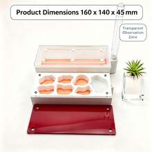 Acrylic Ant Nest Queen Breeding Box With Test Tube Humidification Area, Escape-Proof Observation Tank, Pet Ant Villa, Red & White Color Scheme Flat Ant Farm - Red and White - View 2