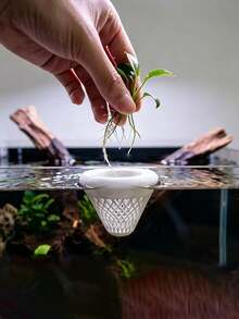 1PC Bathtub Floating Planter, Hollow Floating Planter, Water Tank Decoration, Suitable For Transparent Water Tank Decorations, Floating Plant Water Bowl Planter, Green Plant Decorative Pot - A - View 5