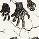 White Ghost Hand a