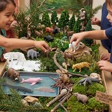 8PCS/12PCS Realistic Wild Animal Model Set Capybara Sloth Crocodile Dolphin Figurines Early Education Cognitive Toys Gift For Boys - Multicolor - View 2